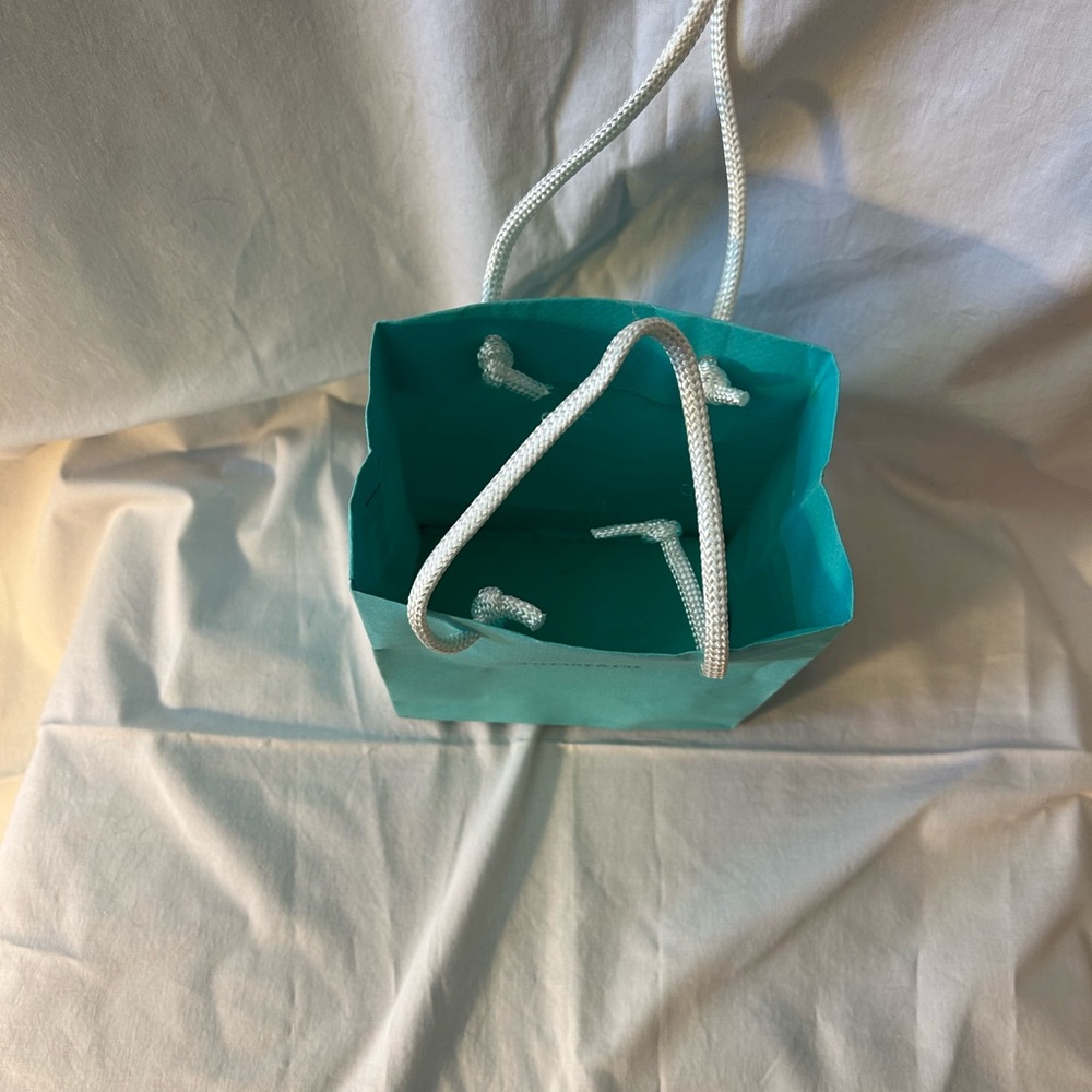 Tiffany bag - Picture 4 of 6